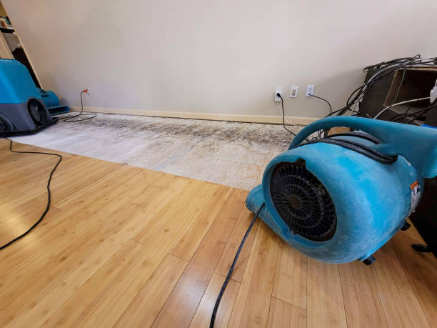 Professional Flood Damage Cleanup technician working in White Hall, AR